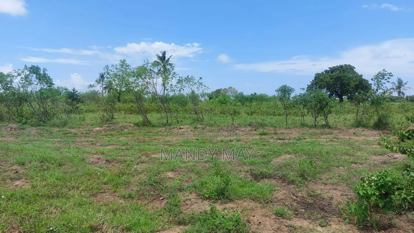 Residential Land for Sale