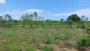 Residential Land for Sale