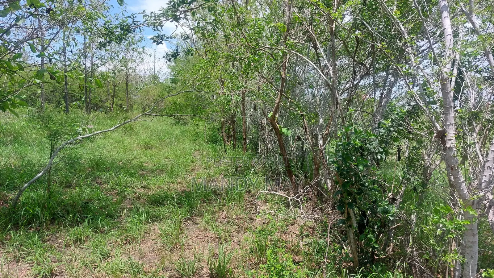 Residential Land for Sale