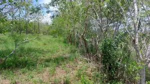 Residential Land for Sale
