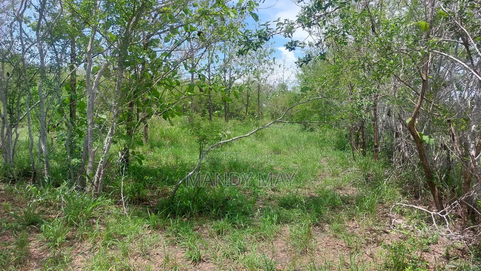 Residential Land for Sale
