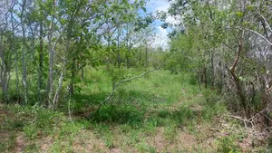 Residential Land for Sale
