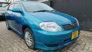 Toyota Corolla RunX 2007 Blue