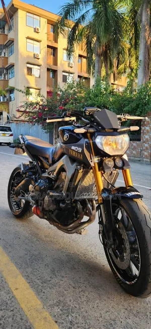Yamaha MT-09 2016 Purple