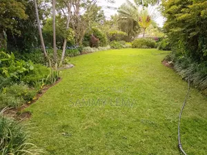 Furnished 3bdrm House in Sammy Said, Njiro for rent