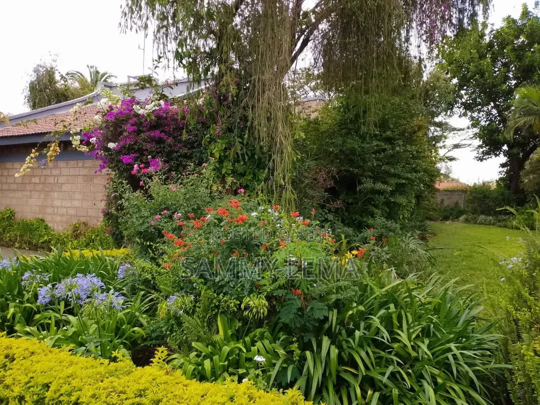 Furnished 3bdrm House in Sammy Said, Njiro for rent