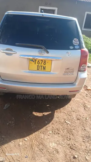 Toyota Raum 2004 Gray
