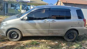 Toyota Raum 2004 Gray