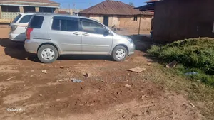 Toyota Raum 2004 Gray