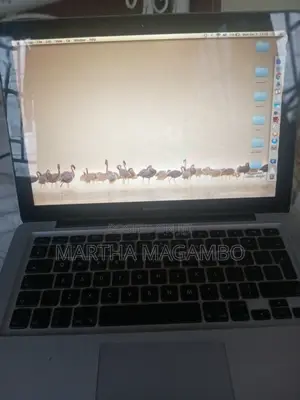 Laptop Apple MacBook 2010 4GB Intel Core 2 Duo HDD+SSD 250GB