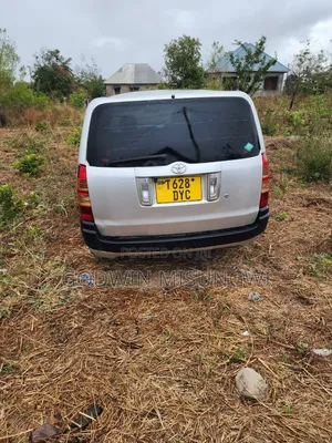 Toyota Probox 2004 Silver