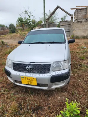 Toyota Probox 2004 Silver