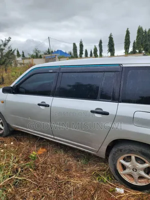 Toyota Probox 2004 Silver