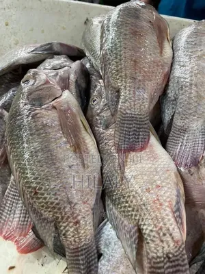 Tunauza Sato Kutoka Ziwani Kwa Jumla Na Rejareja