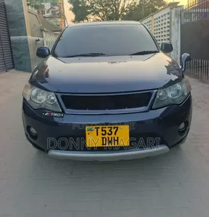 Mitsubishi Outlander 2006 Gray