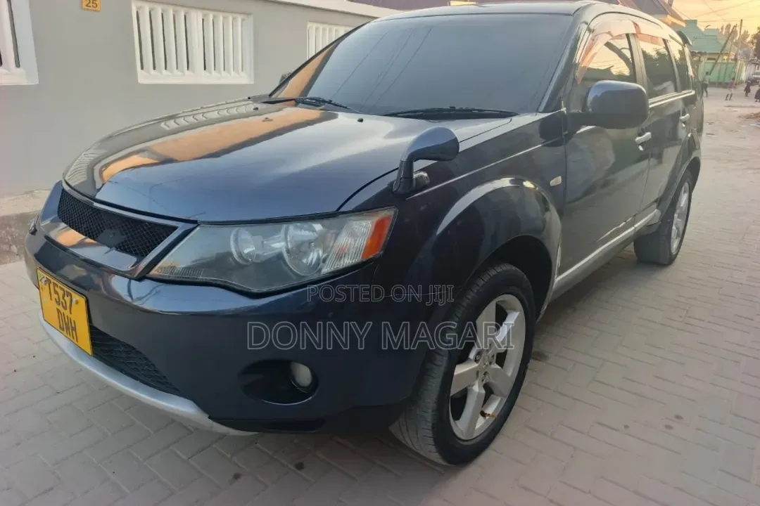 Mitsubishi Outlander 2006 Gray
