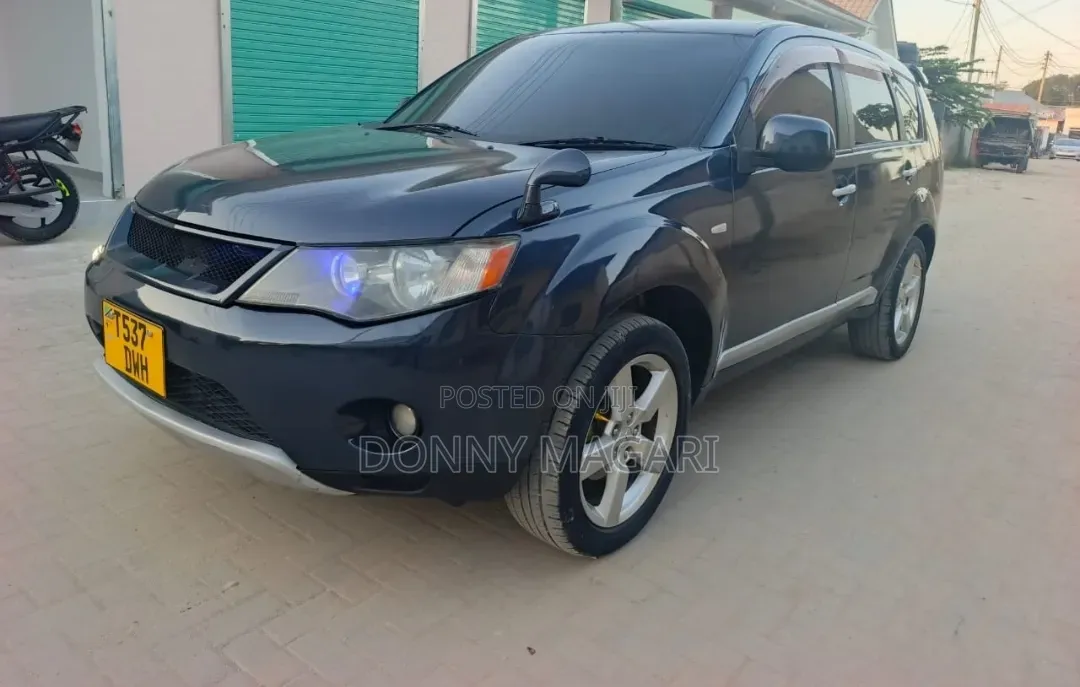 Mitsubishi Outlander 2006 Gray