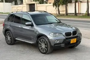 BMW X5 xDrive30i AWD (3.0L 6cyl 6A) 2010 Gray