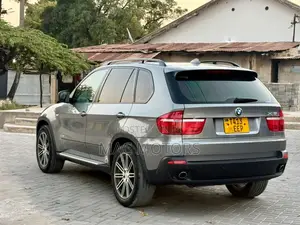 BMW X5 xDrive30i AWD (3.0L 6cyl 6A) 2010 Gray