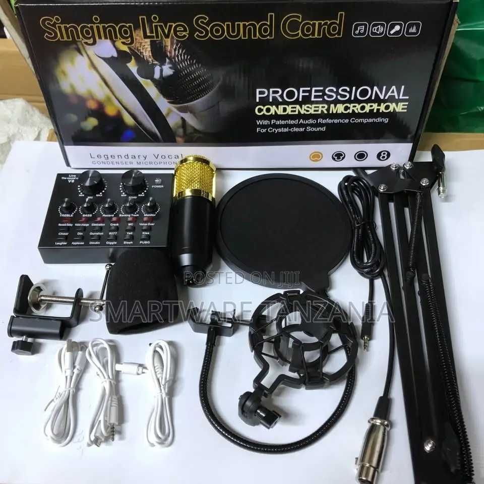 Professional Condenser Microphone Set With Audio Mixer, Pop Filter