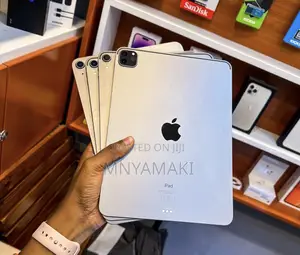 Apple iPad Pro 11 (2024) 256 GB Gray