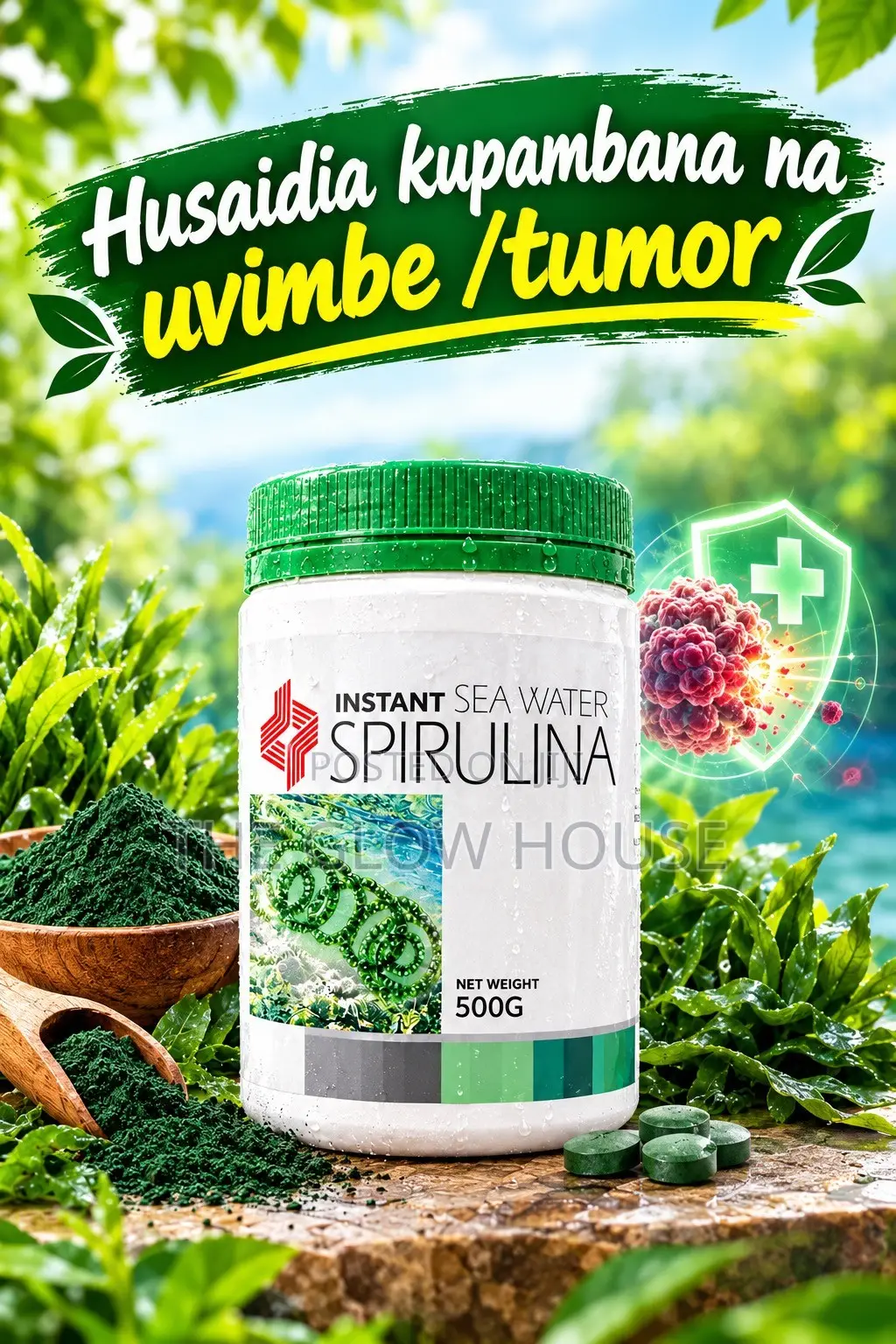 Sea Water Spirulina Powder 500g