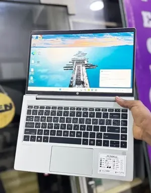 Laptop HP ProBook 445 G7 8GB AMD Ryzen 5 SSD 256GB