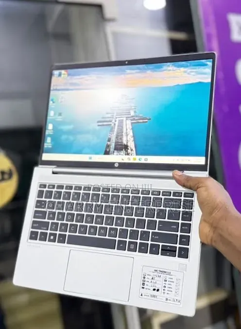 Laptop HP ProBook 445 G7 8GB AMD Ryzen 5 SSD 256GB