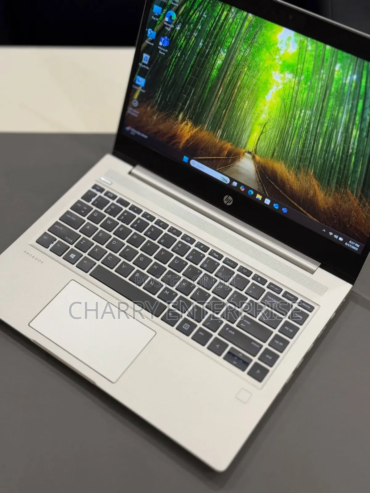 Laptop HP ProBook 445 G7 8GB AMD Ryzen 5 SSD 256GB