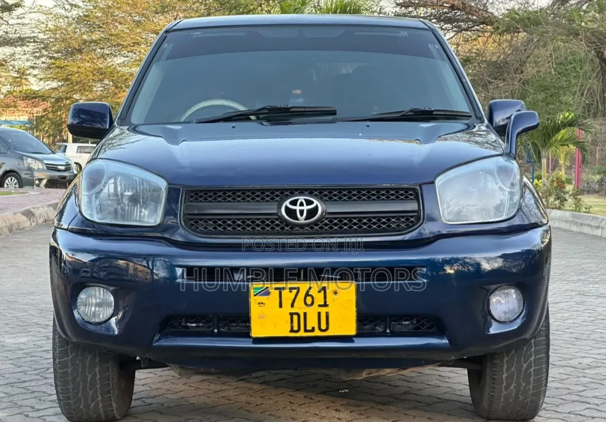 Toyota RAV4 2004 Blue