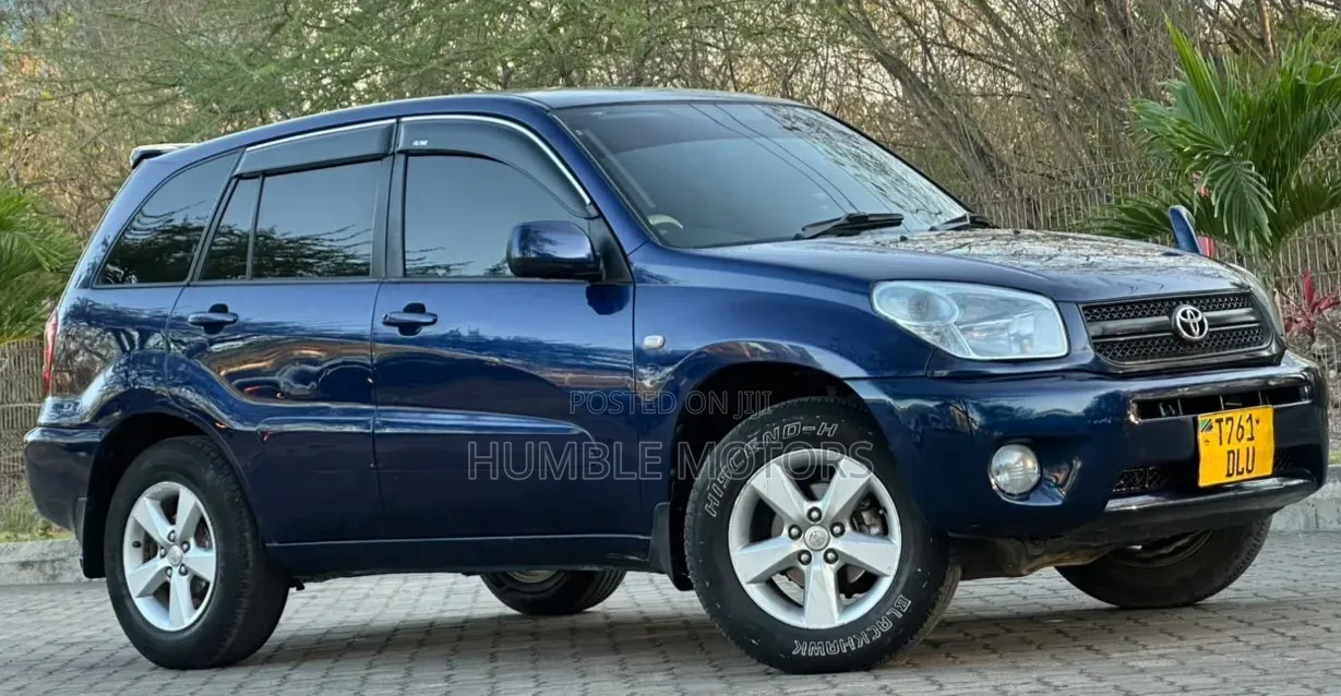 Toyota RAV4 2004 Blue