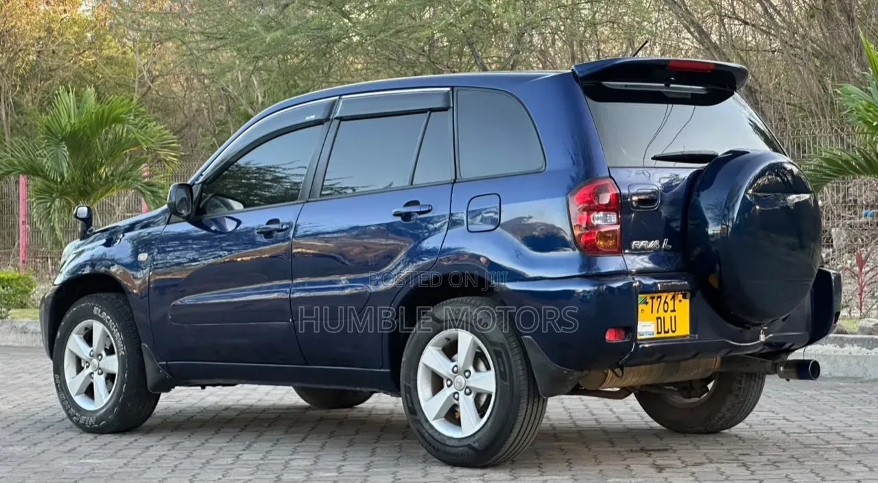 Toyota RAV4 2004 Blue