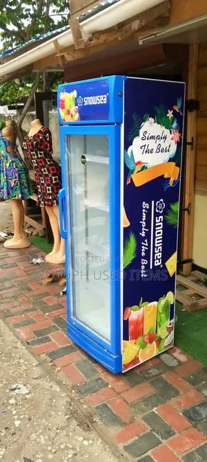 Snowsea Showcase Display Friji