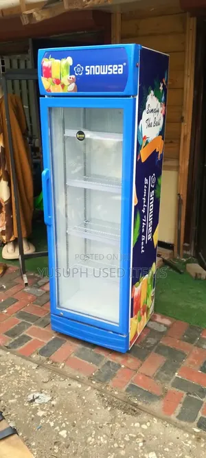 Snowsea Showcase Display Friji