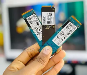 2 NVMe SSD High-Speed Storage (Kioxia & Samsung)