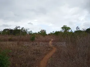 Eneo La Heka 1 Linauzwa Bunju a Mji Mpya