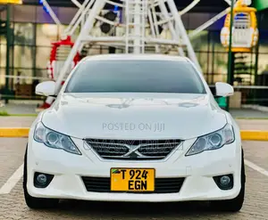 Toyota Mark X 2012 Pearl