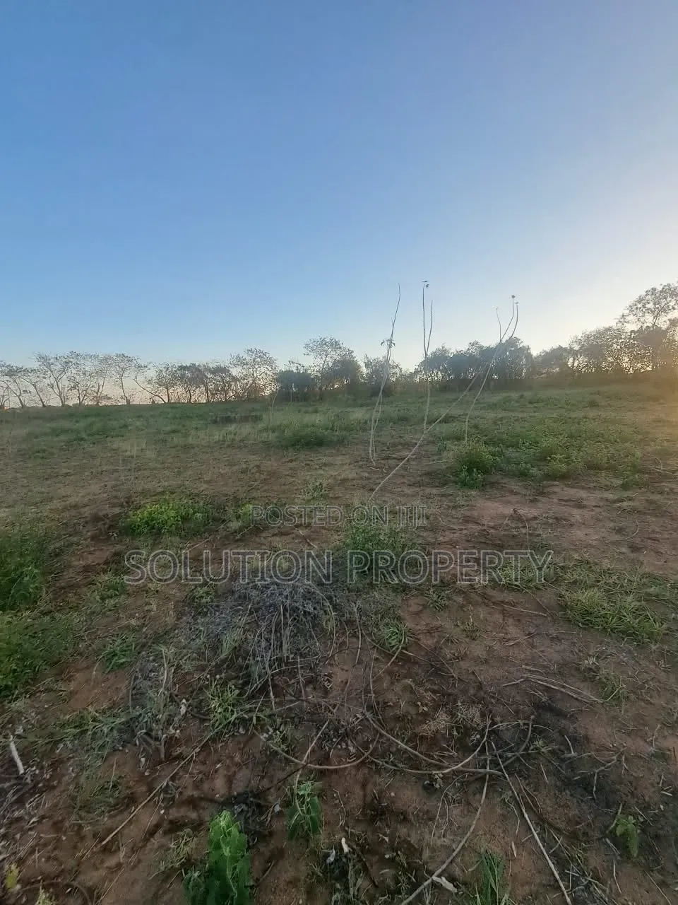 Surveyed Plot for Sale at Bunju A
