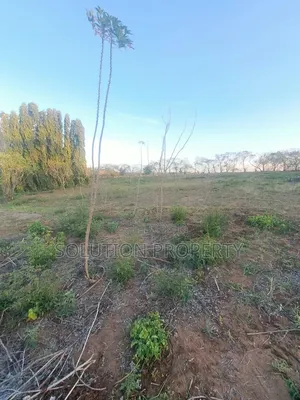 Surveyed Plot for Sale at Bunju A