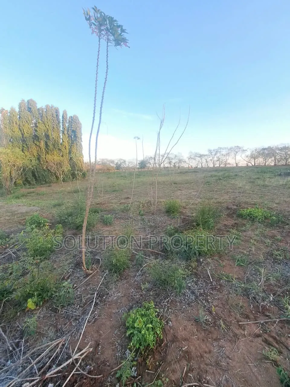 Surveyed Plot for Sale at Bunju A