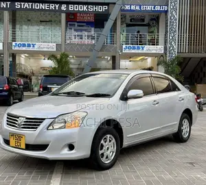 Toyota Premio 2009 Silver
