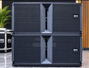 Pair of Professional Audio Line Array Speaker