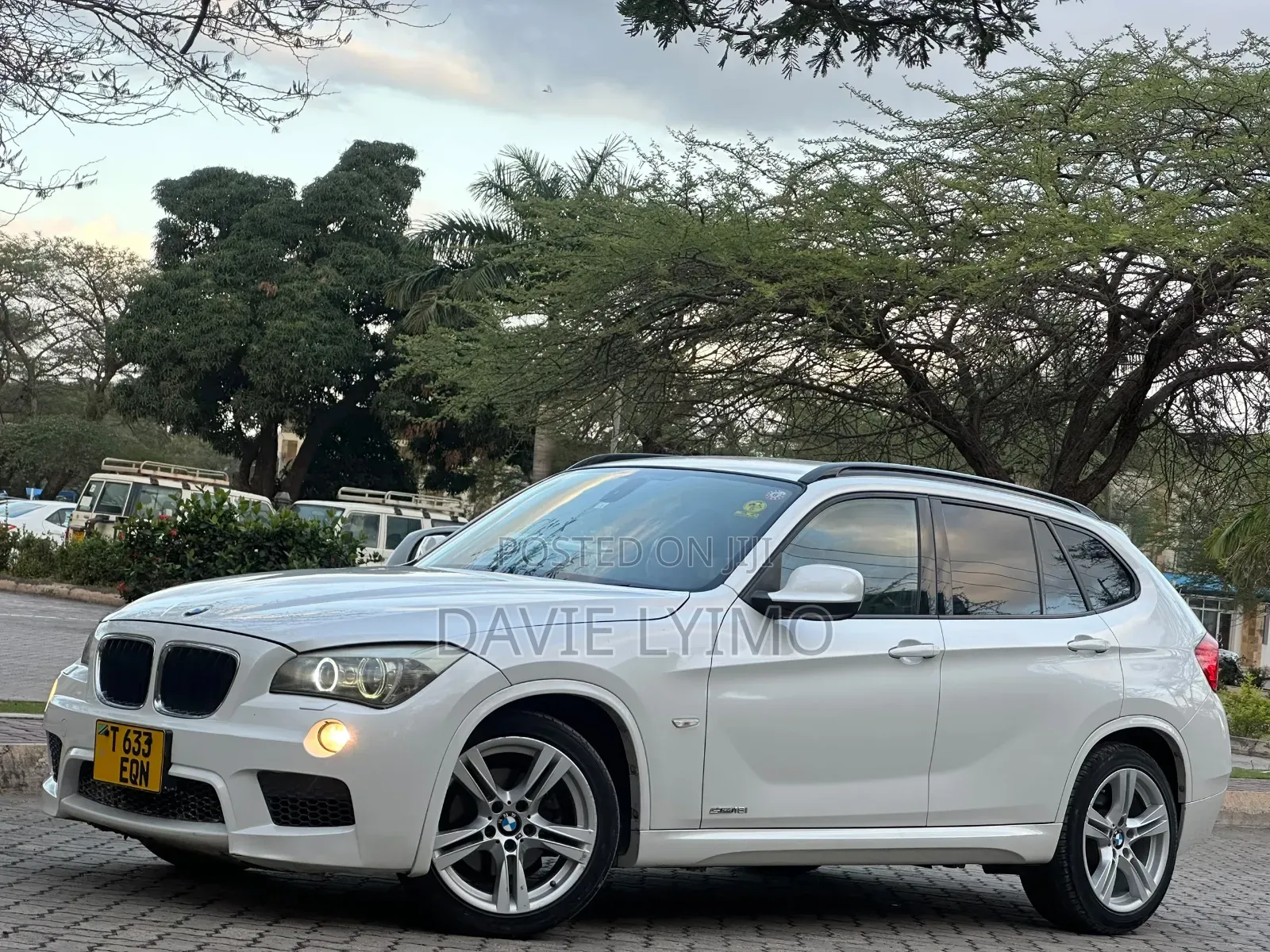 BMW X1 2011 Pearl