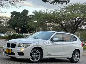 BMW X1 2011 Pearl