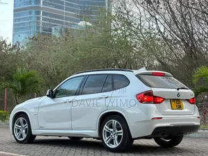 BMW X1 2011 Pearl