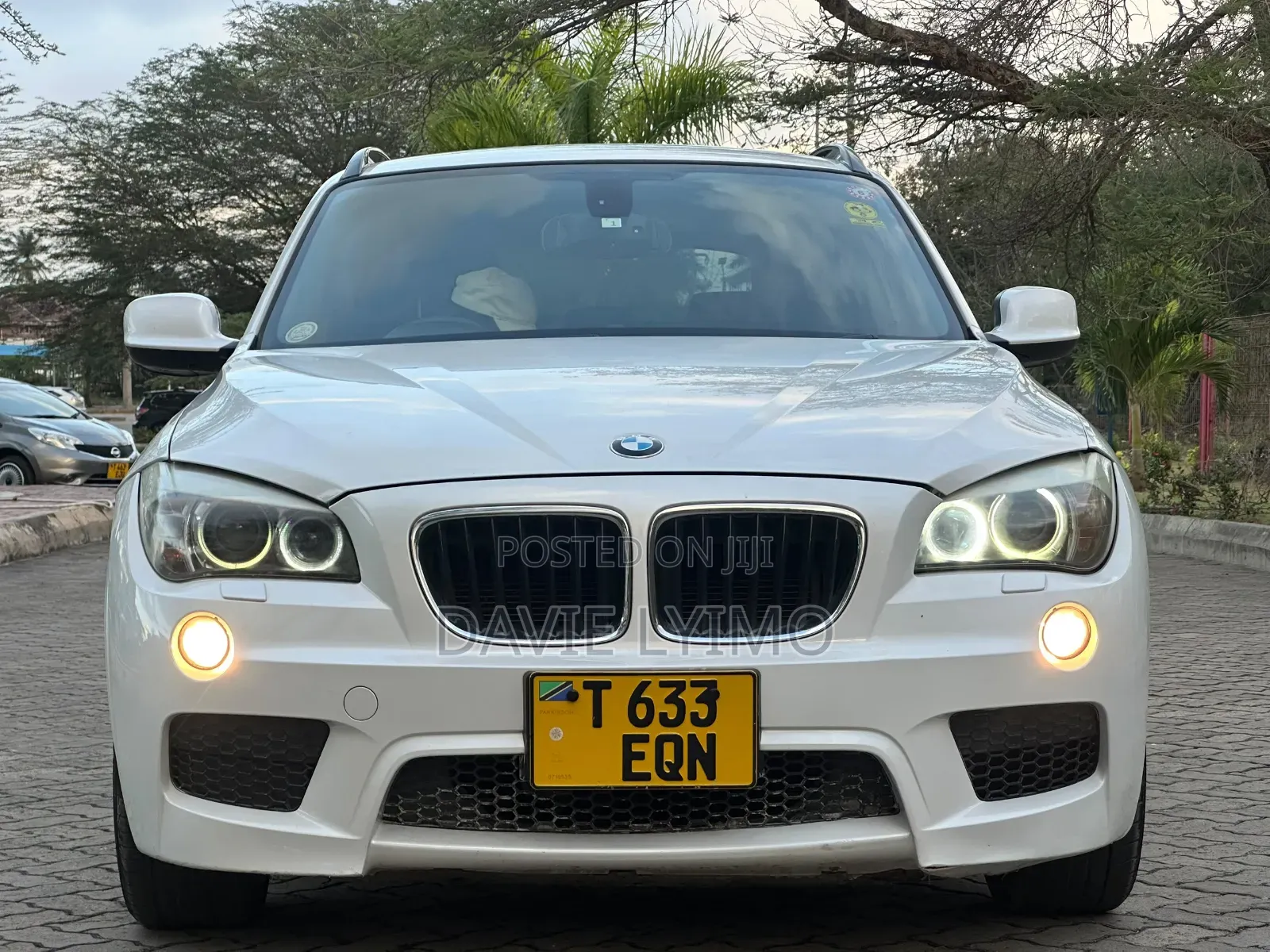 BMW X1 2011 Pearl