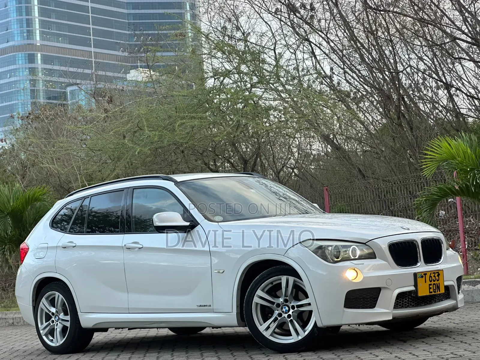 BMW X1 2011 Pearl
