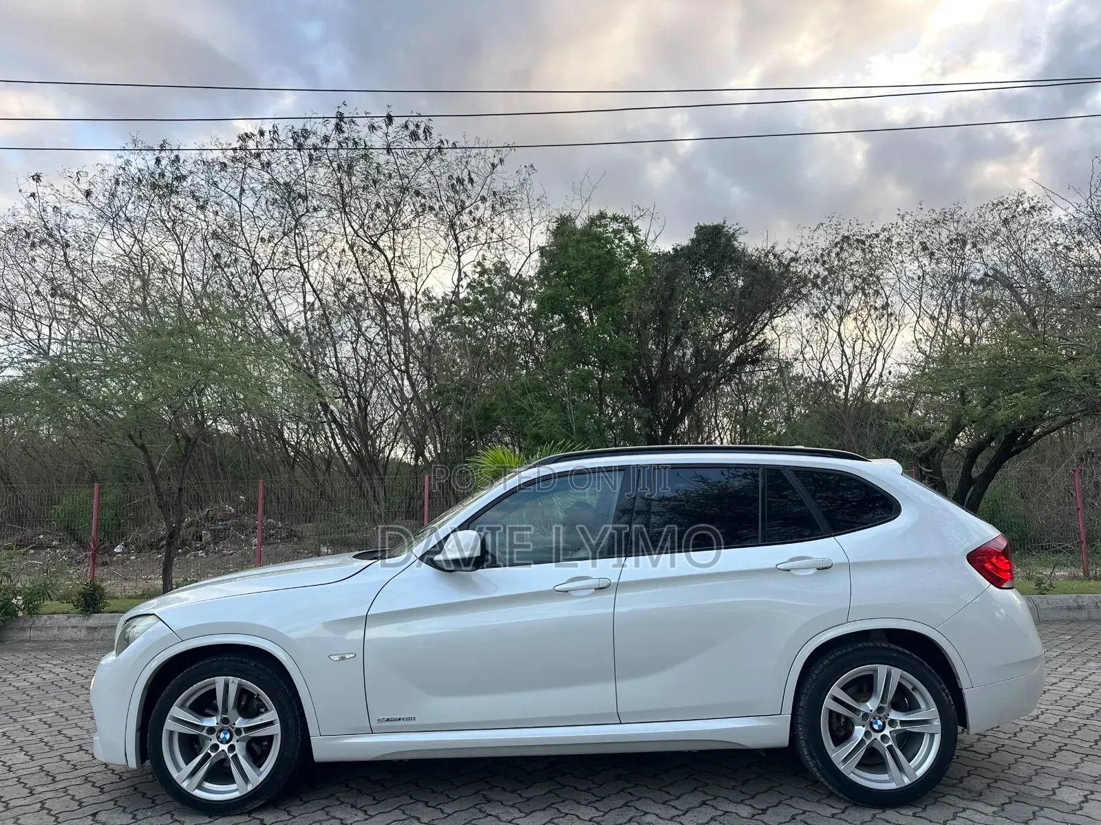 BMW X1 2011 Pearl