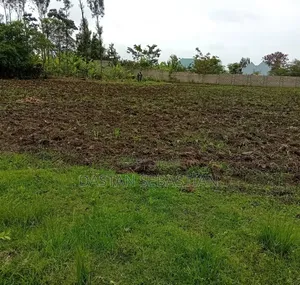 Viwanja Afcon City Arusha