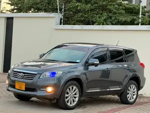 Toyota Vanguard 2011 Gray